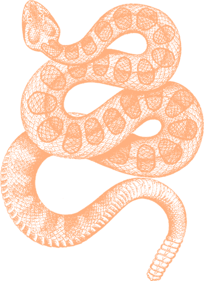 The rattlesnake — 2022 mark